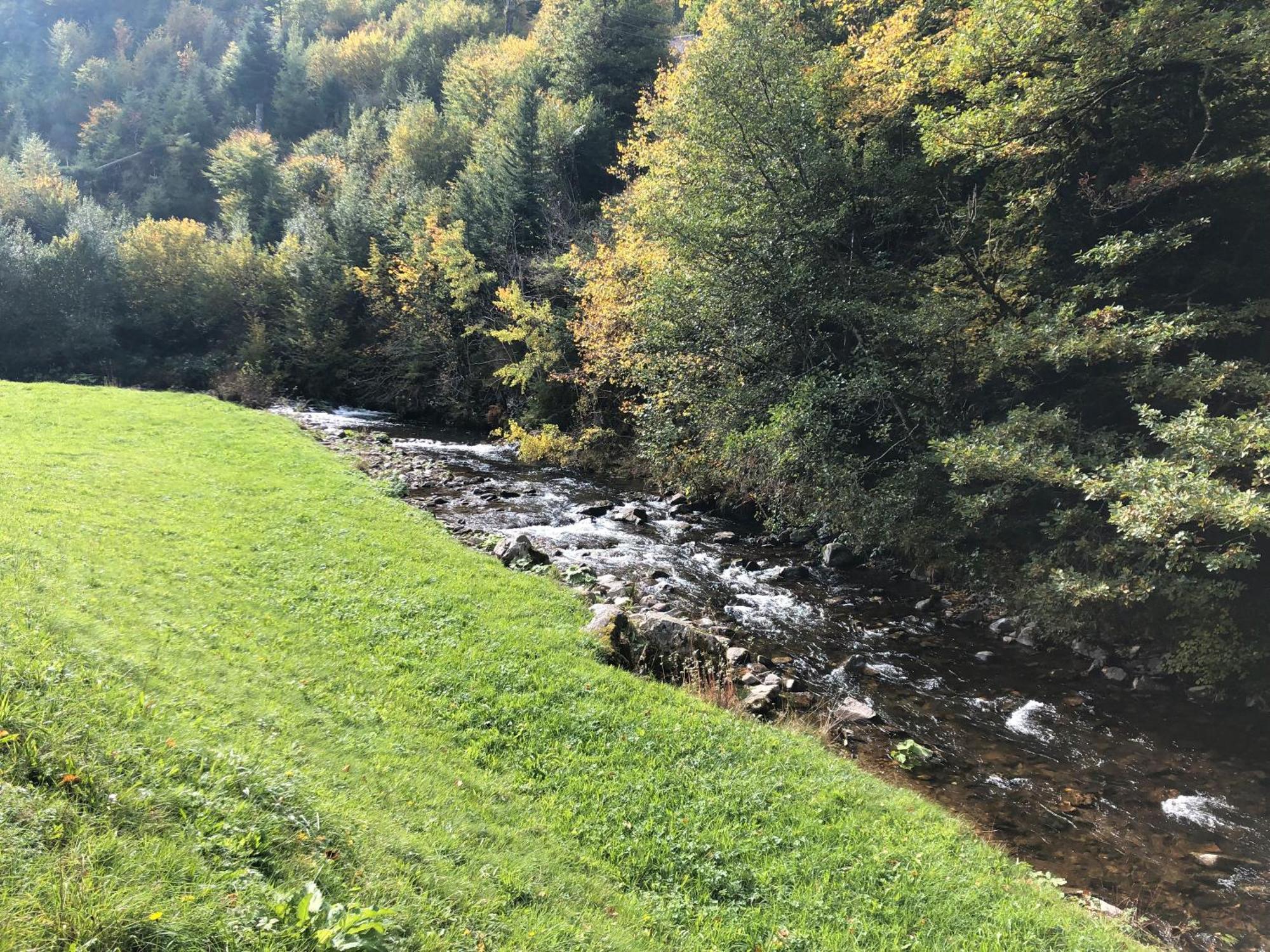 2 Zimmer Wohnung, Mit Sonnenterasse Schönwalde Buitenkant foto