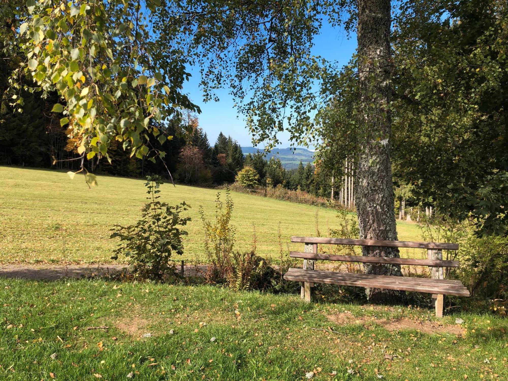 2 Zimmer Wohnung, Mit Sonnenterasse Schönwalde Buitenkant foto